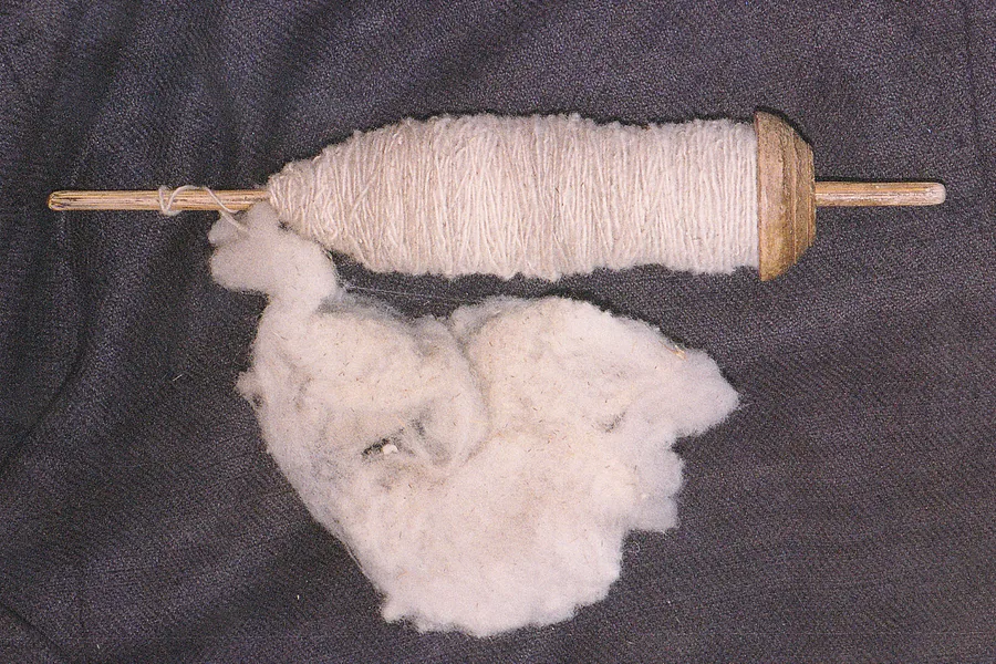 Drop spindle wound with alpaca yarn next to a tuft of unspun white fibre